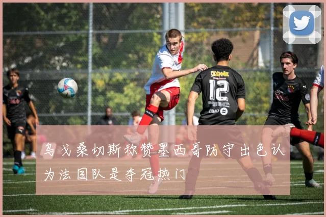 乌戈桑切斯称赞墨西哥防守出色认为法国队是夺冠热门