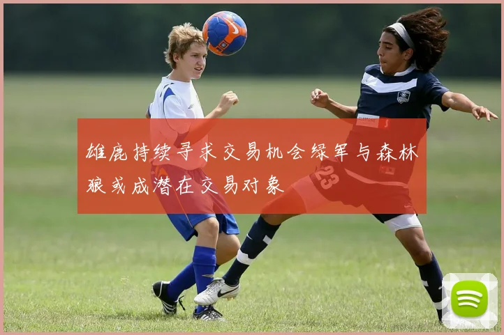 雄鹿持续寻求交易机会绿军与森林狼或成潜在交易对象