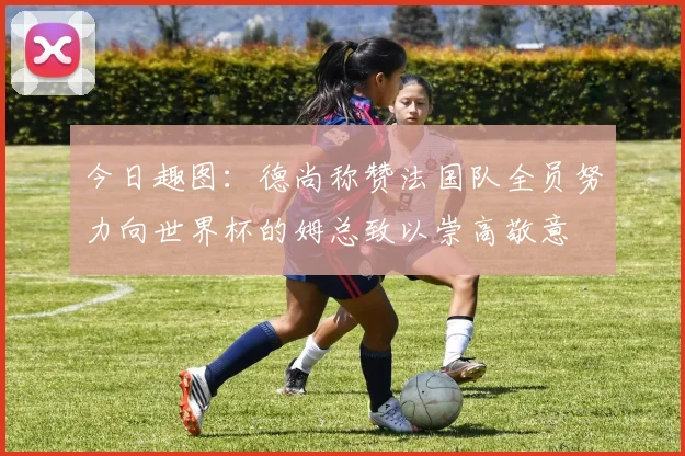 今日趣图：德尚称赞法国队全员努力向世界杯的姆总致以崇高敬意